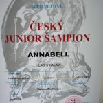 junior-sampion